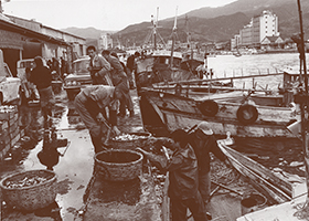 「宇和島鯛めし」の由来