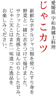 宇和島郷土料理 じゃこカツ/松山 愛媛 道後